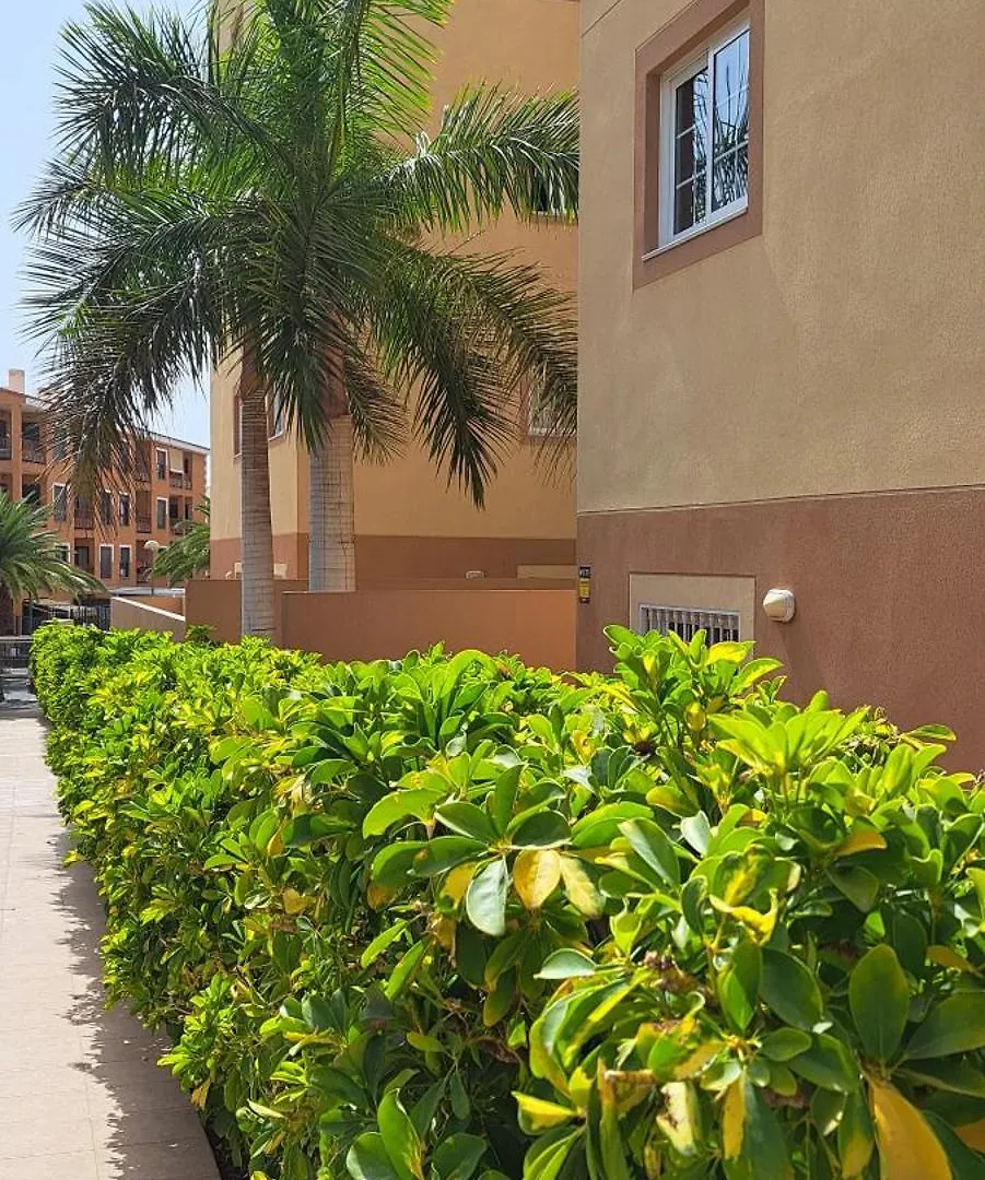 Casa Vera Palm-mar